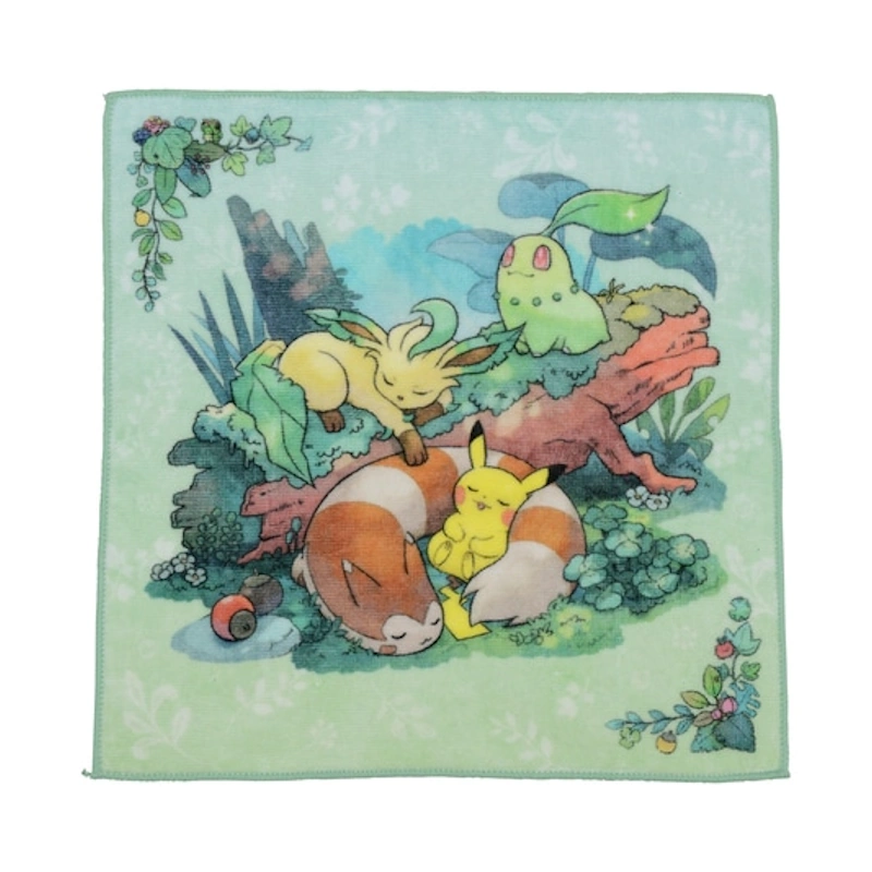Handtuch Schlafende Pokémon